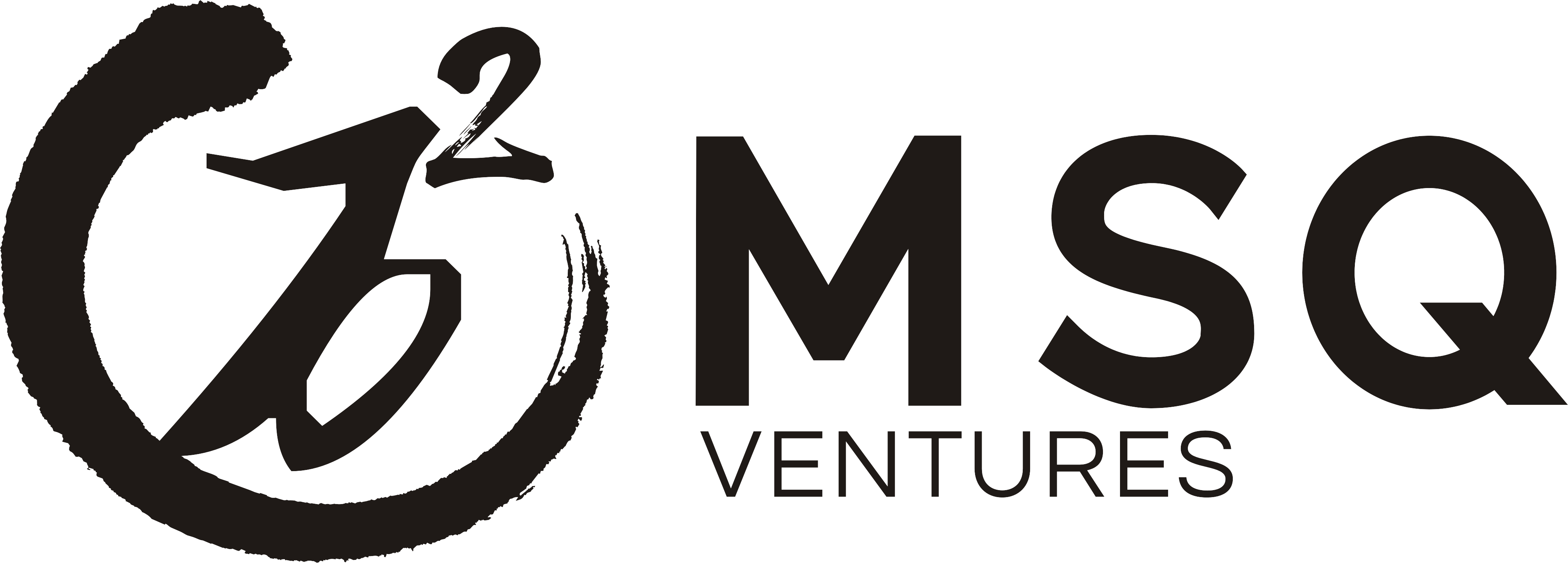 MSQ Ventures